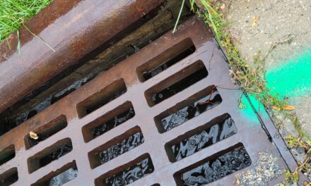 The Overlooked Hero: Why Storm Sewer Inspections Matter